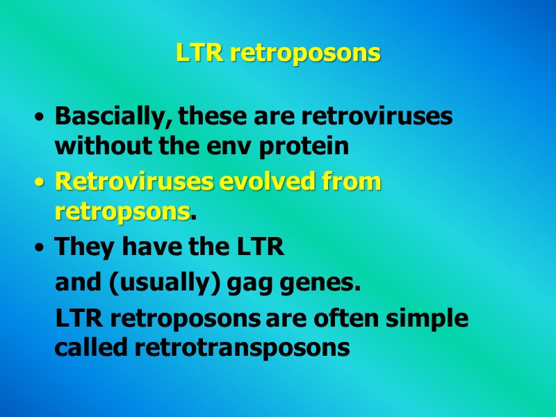 LTR retroposons  Bascially, these are retroviruses without the env protein  Retroviruses evolved